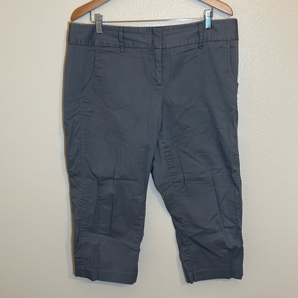 Daisy Fuentes Grey Capri Pants